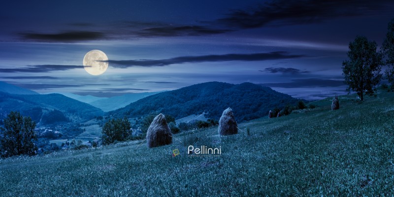 haystacks on a grassy hill in summer at night in full moon light. beautiful summer landscape in mountains. carpathian countryside. wonderful weather. village down in the valley