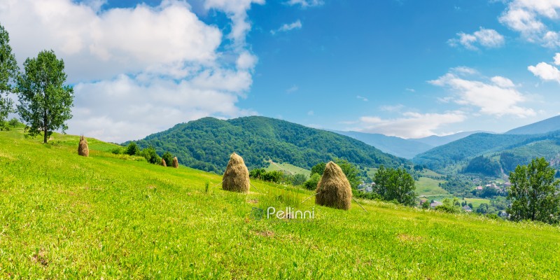 haystacks on a grassy hill in summer. beautiful summer landscape in mountains. carpathian countryside at noon. wonderful weather with some fluffy clouds on the blue sky. village down in the valley