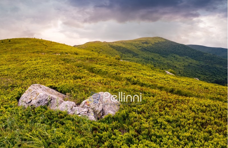 high mountain idyllic landscape. grassy meadow with boulder on hillside. beautiful nature.