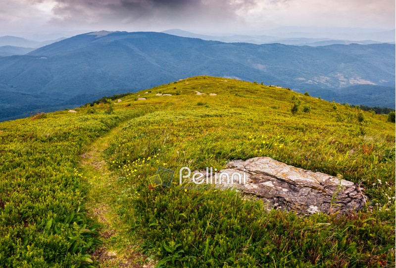 high mountain idyllic landscape. path through grassy meadow with boulder on hillside. beautiful nature.
