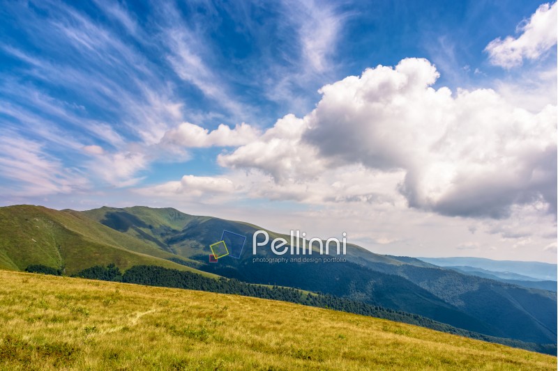 summer mountain landscape with wild grass on hillside meadow under the blue sky with clouds