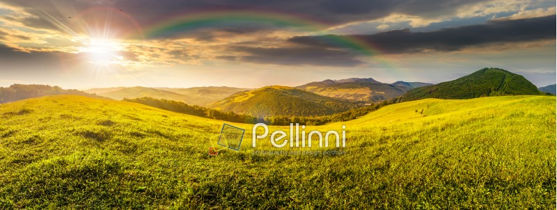 panoramic summer landscape. Hillside meadow in high mountains in morning light
