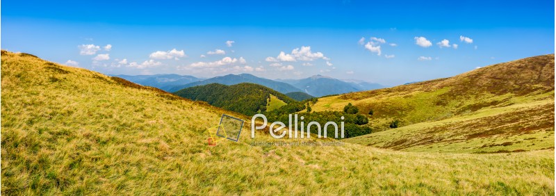 panoramic summer landscape with road through hillside meadow in mountains