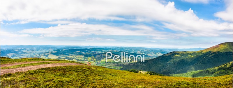 panoramic summer landscape with road through hillside meadow in mountains