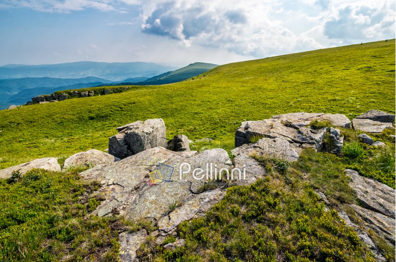 mountain summer landscape. meadow with huge boulders among the grass on top of the hillside meadow near the peak of mountain ridge