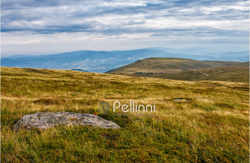mountain summer landscape. meadow with huge boulders among the grass on top of the hillside meadow near the peak of mountain ridge