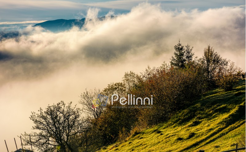 huge fog rise above the hillside, lovely autumnal scenery in mountains at sunrise