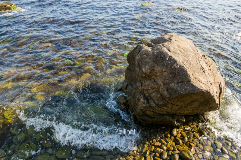 huge rock on the pebble sea shore. transparent calm water with seaweed near the coast. summer vacation at the beach on a sunny morning