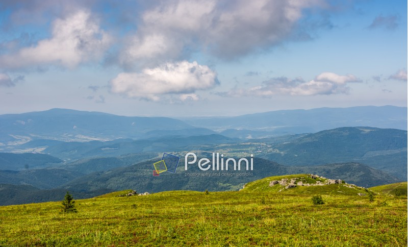 mountain summer landscape. meadow with huge rocks among the grass on top of the hillside near the peak of mountain ridge