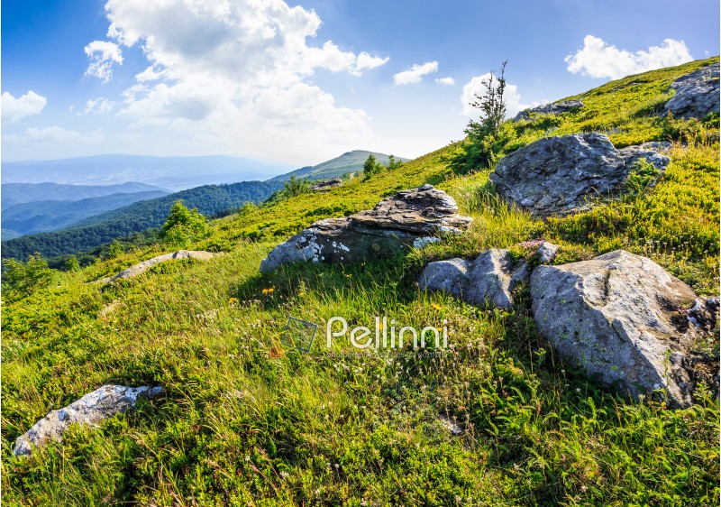 mountain summer landscape. meadow with huge stones among the grass on top of the hillside near the peak of mountain range