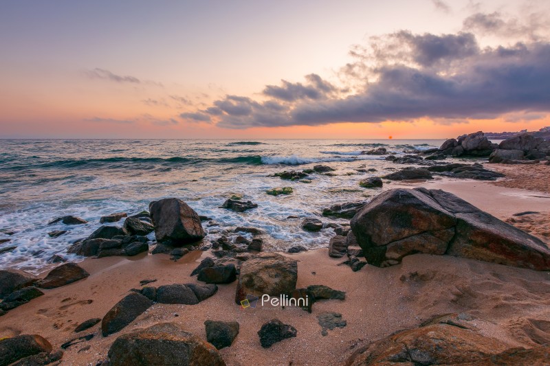 huge stones on a sandy beach at sunrise. wonderful summer vacati huge stones on a sandy beach at sunrise. wonderful summer vacation season at the black sea. calm waves washing the sand shore. nature background with cloudy sky. bulgaria travel photo