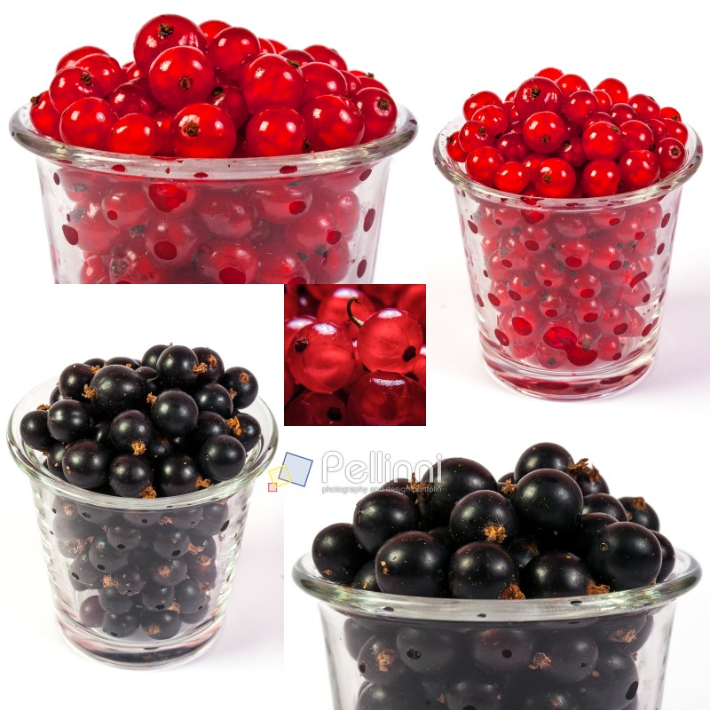 image set of red and black currant in a glass in different sizes