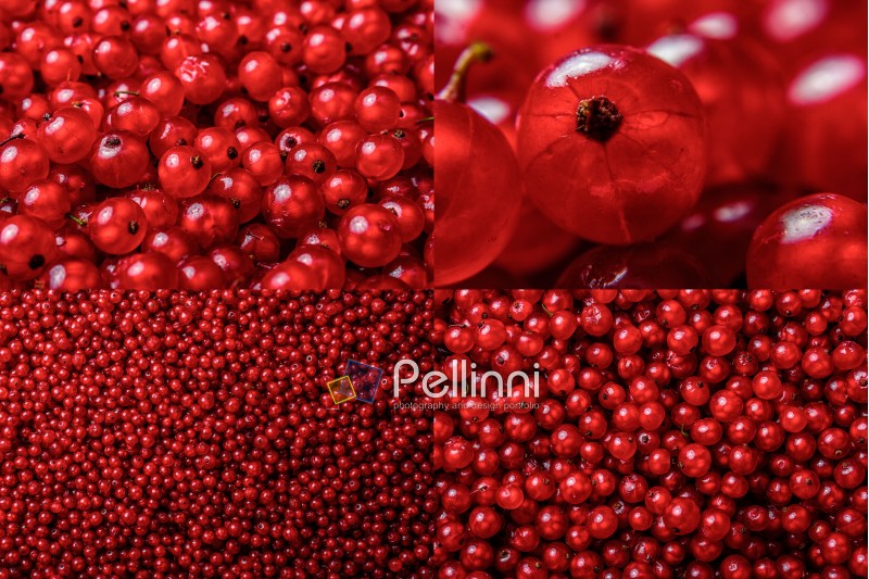 image set of red currant texture in different sizes