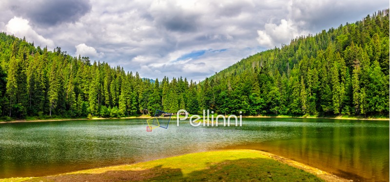 landscape near the lake among conifer forest in mountains in the early summer morning 