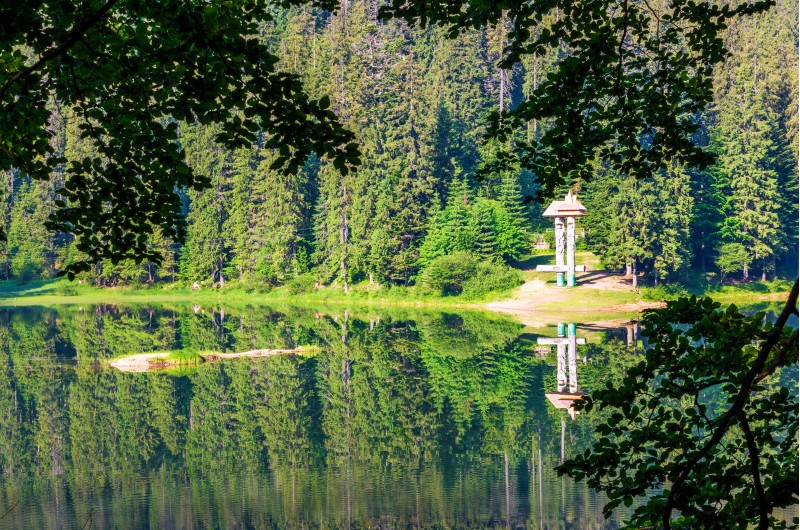 lake in Synevyr national park in summertime. beautiful nature of Carpathians. view from the forested shore