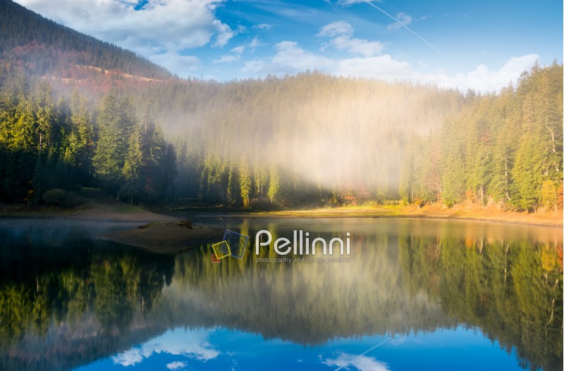 lake in spruce forest at foggy sunrise. gorgeous autumn landscape in Carpathian mountains
