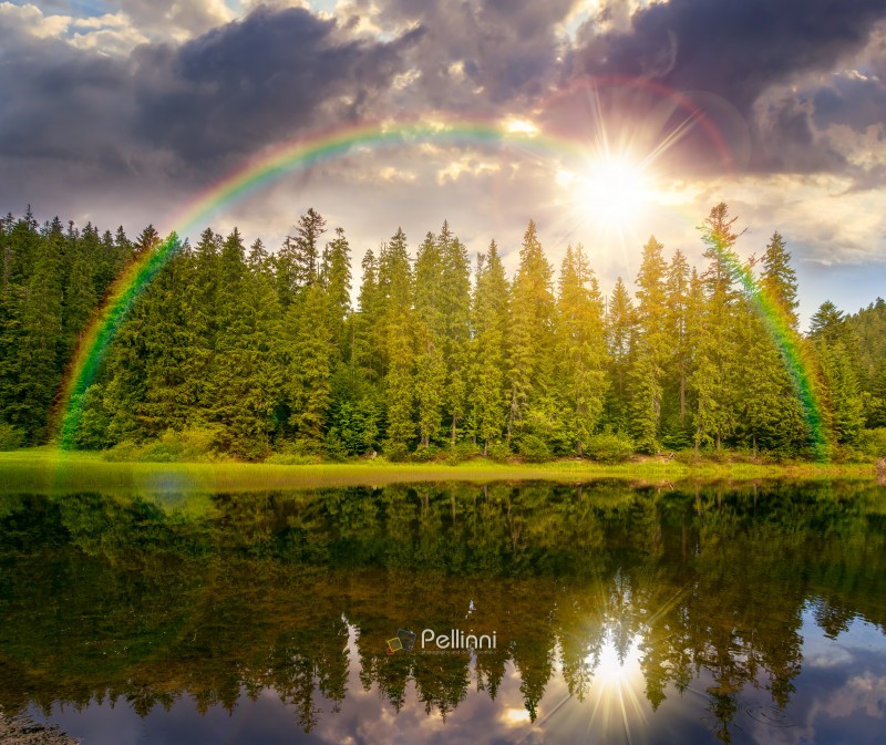 lake in summer mountain landscape at sunset. fresh body of water surrounded by coniferous forest in evening light. spectacular scenery of alpine destination for photo tourism. weather with rainbow