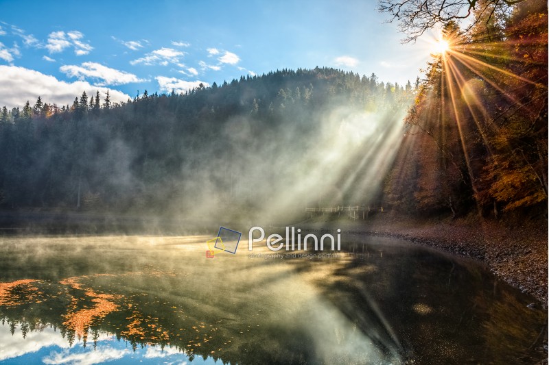 view on crystal clear lake with rocky shore and smoke on the water near the pine forest in fog at the foot of the mountain at sunrise