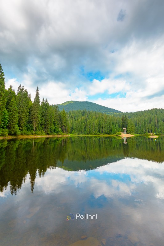 landscape by the lake on cloudy morning. coniferous forest near landscape by the lake on cloudy morning. coniferous forest near the lake and the forest mountain. awesome summer view of carpathian mountain reflection on synevr lake water surface. clean environment