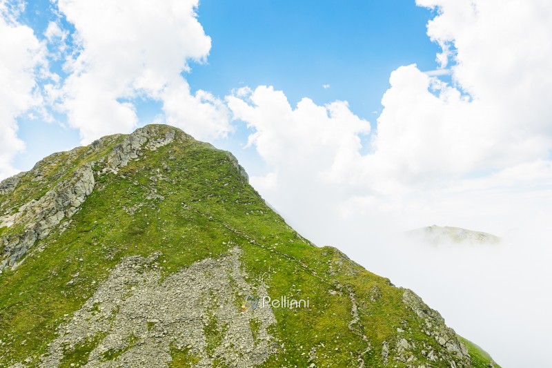 landscape of fagaras mountains in summer. beautiful nature scenery of romania. steep slope, grassy hillside and rocky peak on a sunny day with clouds on the blue sky. scenic travel background