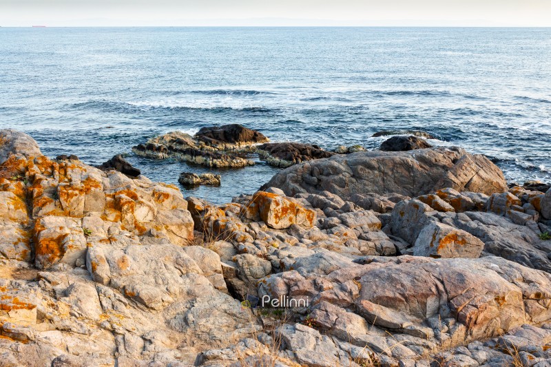 landscape of sea coast with rock in summer. beautiful scenery with stone shore and splashing wave. sunny day in bulgaria. 