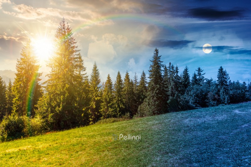 landscape with coniferous forest in summer. day meet night. scenic view of mountain landscape in poland. sun and moon in harmony over spruce trees on a grassy alpine meadow. epic sky above the ridge
