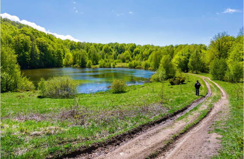 landscape with lake among the forest. countryside road down the hill. photographer observes beautiful scenery in mountains. fine springtime weather