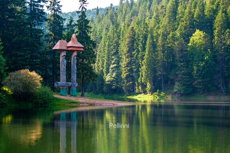 landscape with mountain lake of synevyr national park. green car landscape with mountain lake of synevyr national park. green carpathian nature scenery in summer. coniferous forest reflection on the water. popular travel destination of ukraine in the afternoon