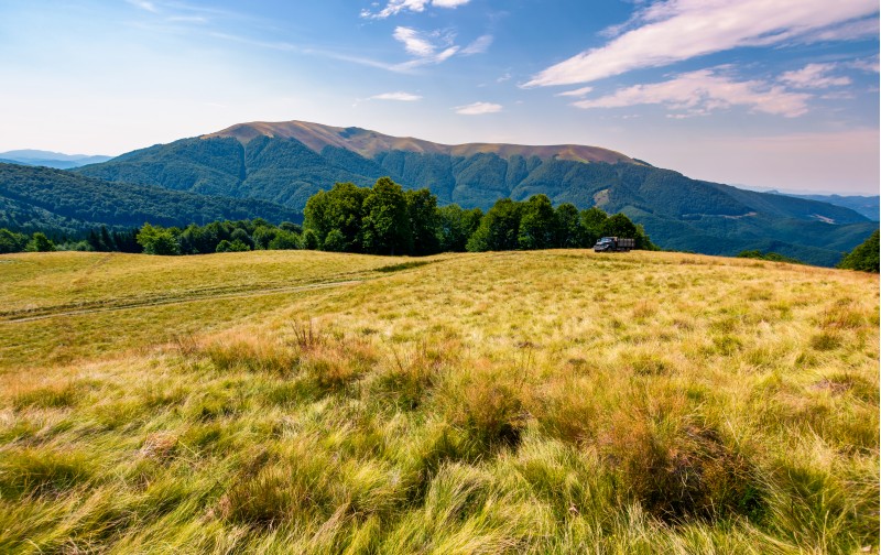 large grassy meadow of Carpathians. gorgeous landscape in fine afternoon weather. Apetska mountain in the distance
