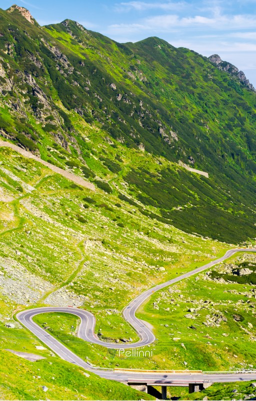 Legendary Transfagarasan road in Romanian mountains. winding serpentine among the grassy hills on a sunny morning