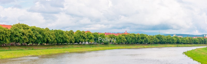 longest linden alley in europe on the Uzh river embankment. lime trees on a sunny summer afternoon. travel destination of transcarpathia. uzhhorod street cityscape beauty. panorama