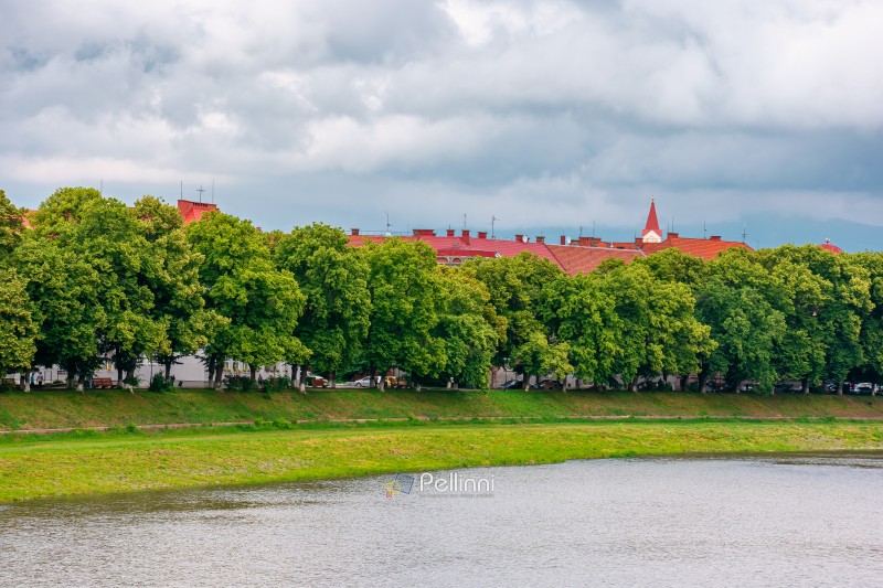 longest linden alley in europe on the Uzh river embankment. lime longest linden alley in europe on the Uzh river embankment. lime trees on a sunny summer afternoon. travel destination of transcarpathia. uzhhorod street cityscape beauty