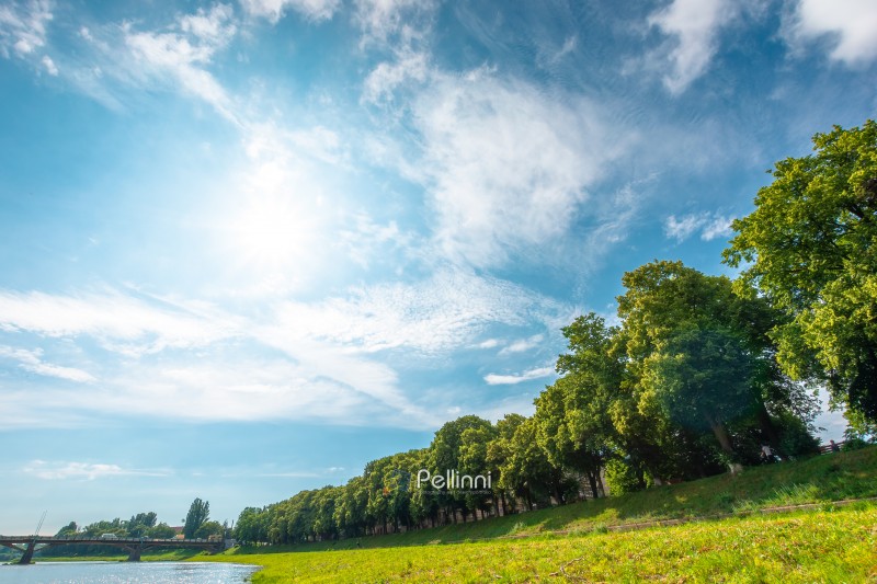 longest linden alley in europe on the Uzh river embankment. tree longest linden alley in europe on the Uzh river embankment. trees on a sunny summer afternoon. travel destination of transcarpathia. uzhhorod street cityscape beauty