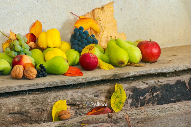 autumn harvest background. lots of fruits on the wooden desk