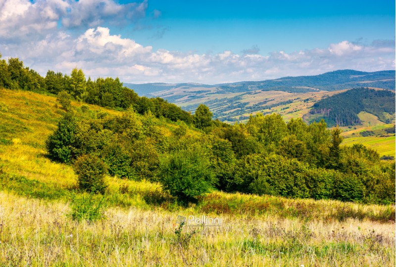 lovely Carpathian countryside in autumn. beautiful scenery of mountainous Volovets district, Ukraine