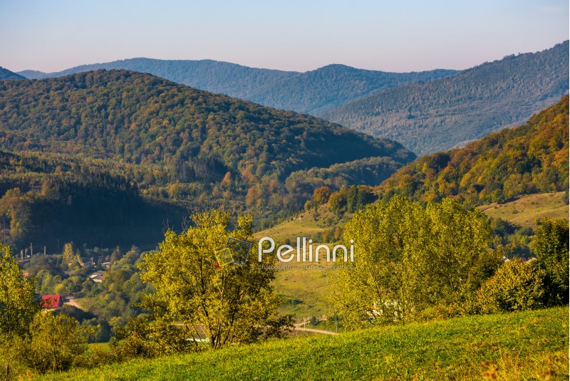 lovely Carpathian countryside in mountains. beautiful scenery in early autumn morning