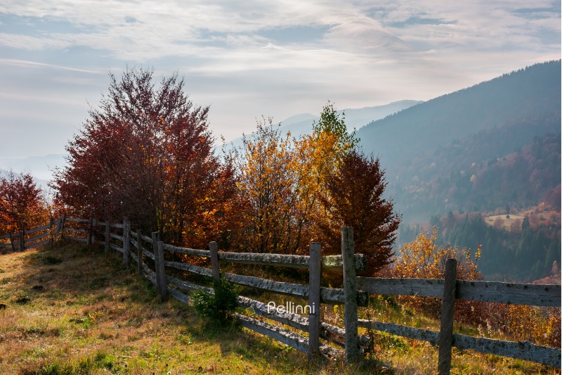 fence along the hill. trees in colorful foliage. lovely autumn scenery in mountains