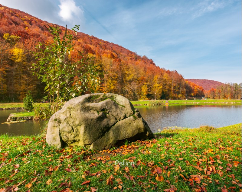 boulder on the shore of a lake. lovely autumn scenery in park. forested hills in fall colors