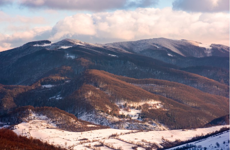 lovely countryside in winter afternoon. beautiful mountainous area with forested hills with snowy tops