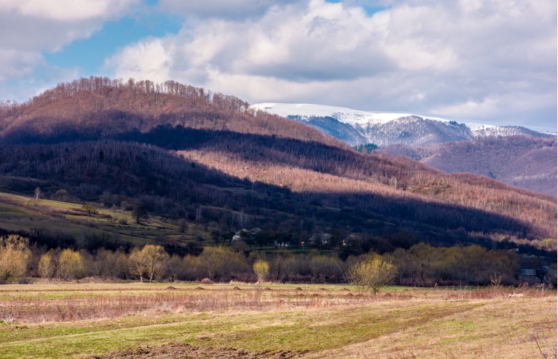 lovely countryside landscape in springtime. mountain with snowy top in the distance. village at the foot of the mountain