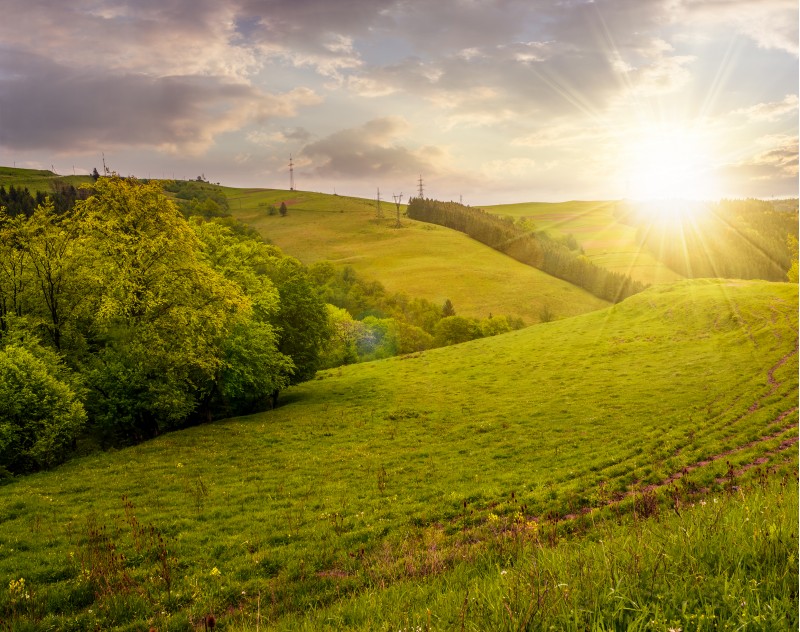 lovely countryside with grassy hills at sunset. beautiful nature of Carpathian mountains in springtime