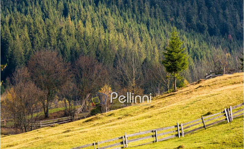 lovely rural scenery with fence on grassy hillside. beautiful countryside background