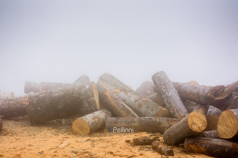 lumber on roadside with sawdust in morning fog. pile of firewood lumber on roadside with sawdust in morning fog. pile of firewood on the ground. romania is prepared for winter season with natural fuel from spruce timber