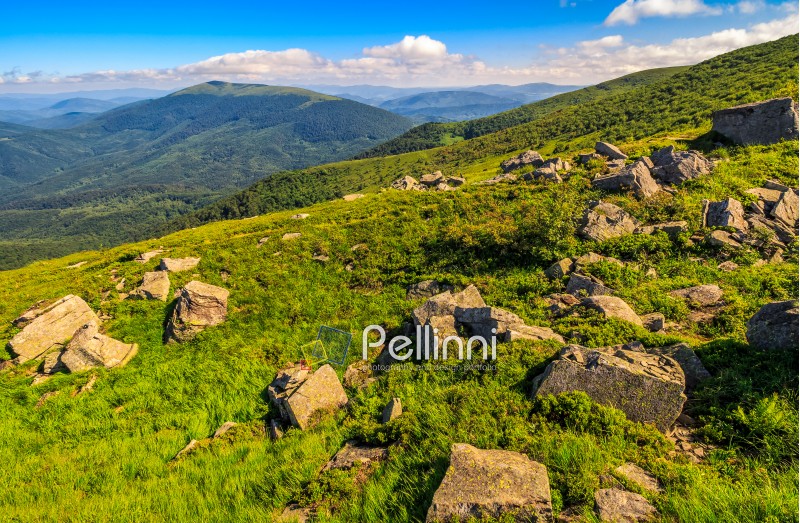 landscape with grassy meadow and giant boulders on the slope of a hill. Carpathian mountain ridge.  beautiful sunny summer day