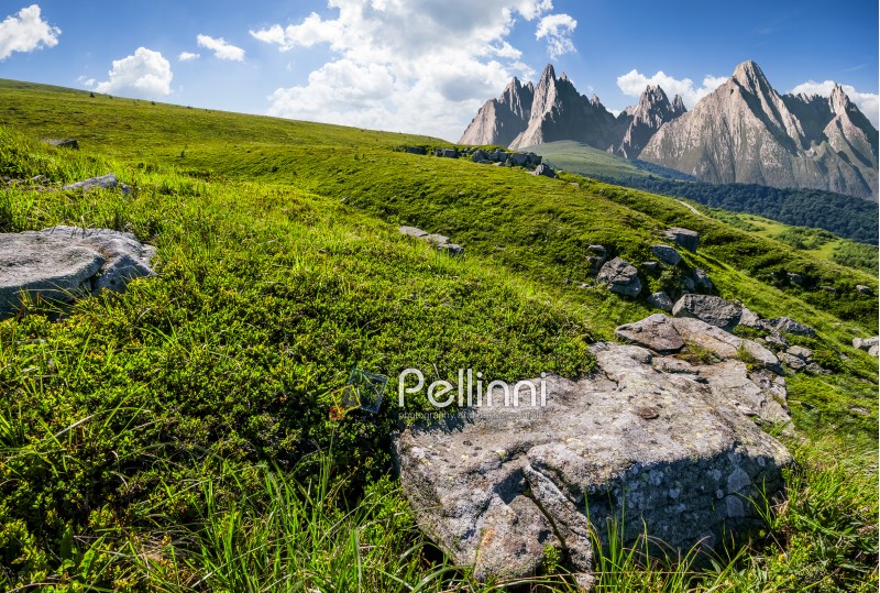 High Tatra mountain summer landscape. meadow with huge stones among the grass on top of the hillside near the peak of mountain range