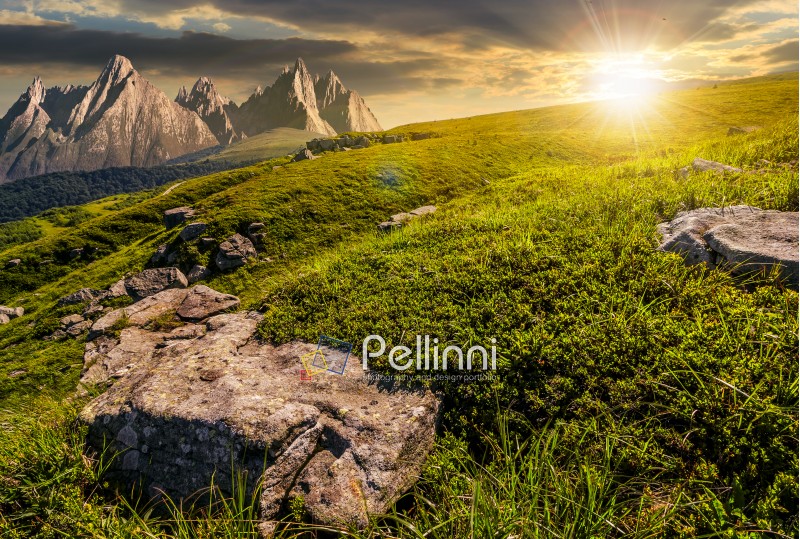 High Tatra mountain summer landscape. meadow with huge stones among the grass on top of the hillside near the peak of mountain range at sunset