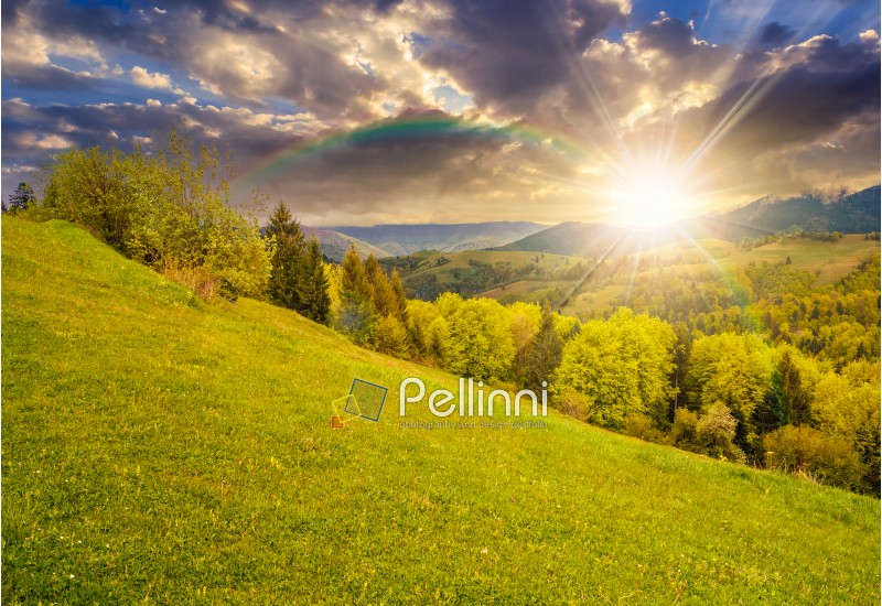 summer mountain landscape. hillside with trees on green grassy meadow under the rainbow in evening light