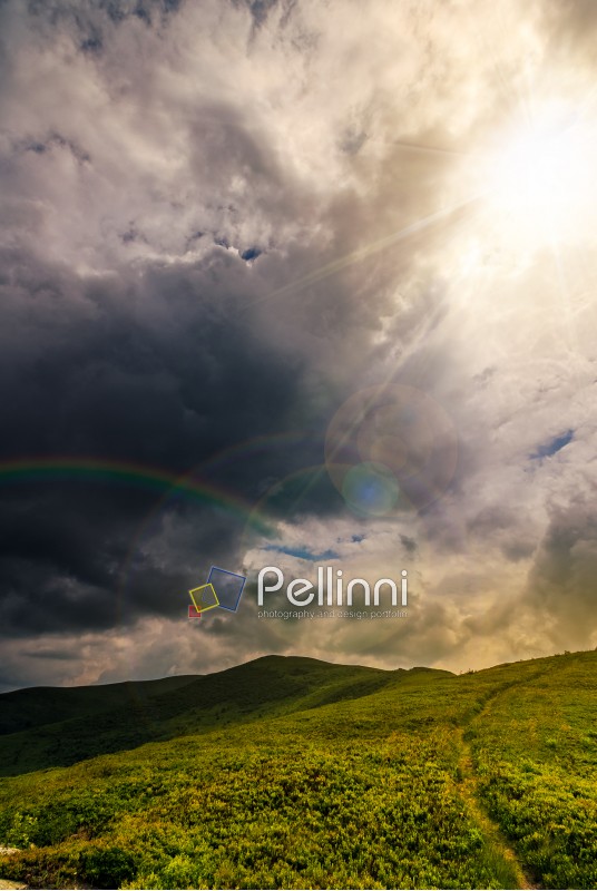 beautiful summer landscape. grassy meadow on a hillside of mountain ridge at  cloudy sunset with rainbow