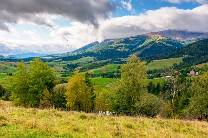 mountain landscape in early autumn for travel. alpine scenery with forest in colorful foliage. beautiful countryside valley with rolling hills. view of carpathian range under sky with clouds