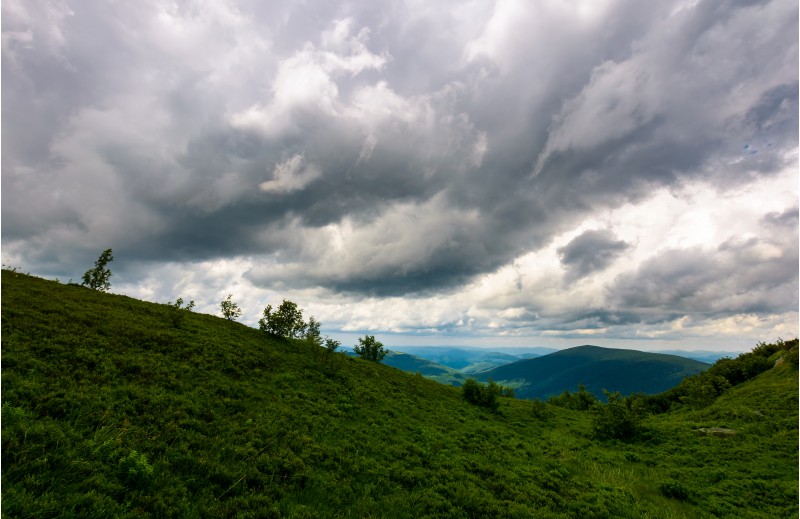mountain landscape in rainy weather. lovely summer scenery with grey menacing clouds over the grassy slope